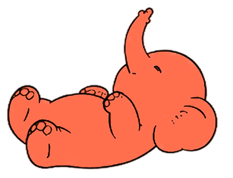 Approved elephant pose
